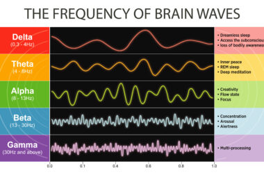 Understanding Brain Waves for Better ADHD Management Meditation Benches - ADHDKnowledgehub