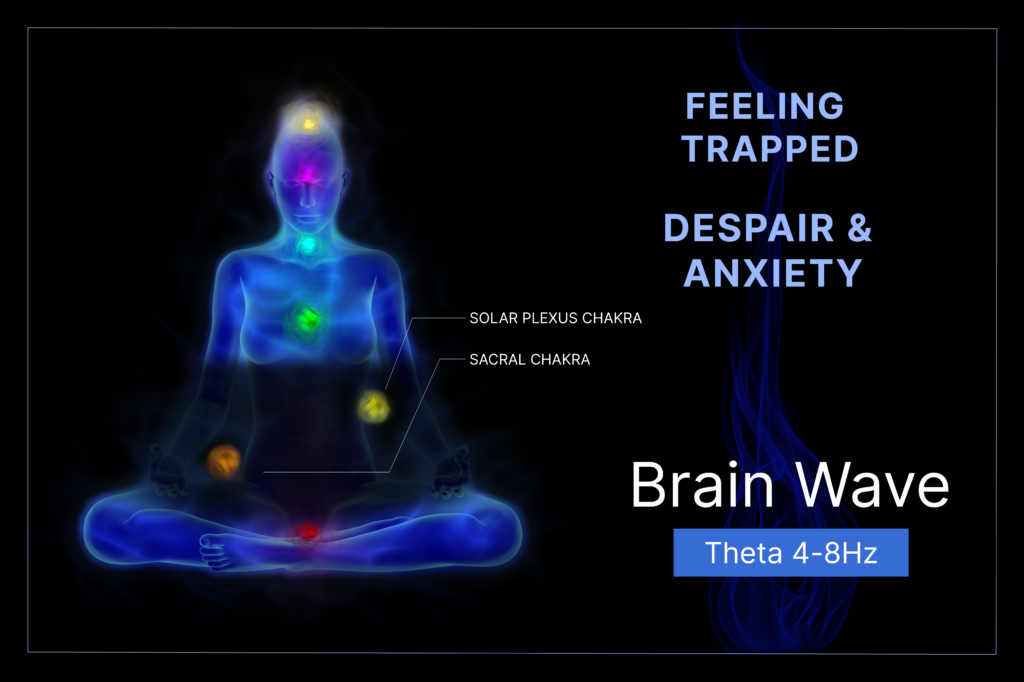 Autonomic Nervous System